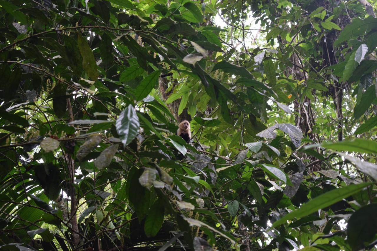 Bewak Cr Hotel Tortuguero Exterior photo