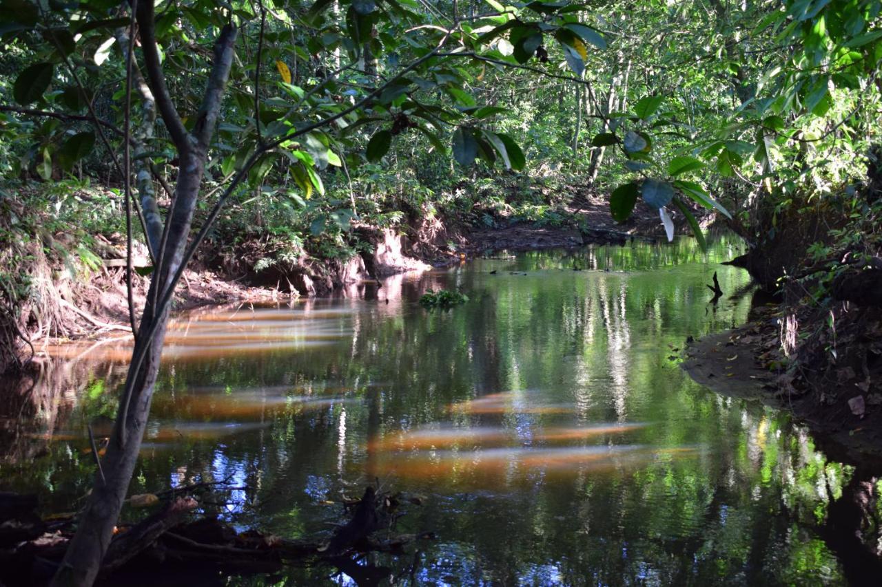 Bewak Cr Hotel Tortuguero Exterior photo